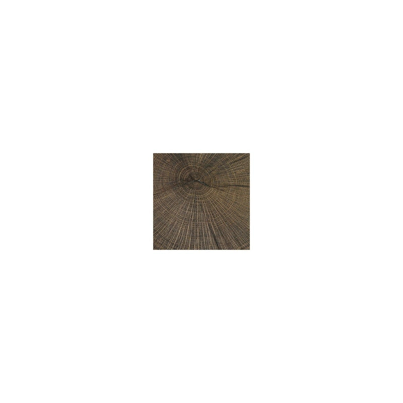 Tables d'appoint brunes (lot de 2) - 20 larg. x 20 prof. x 20,13 haut.